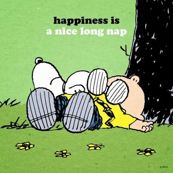 nice long nap
