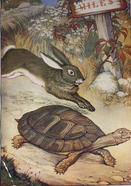 The tortouise and the Hare